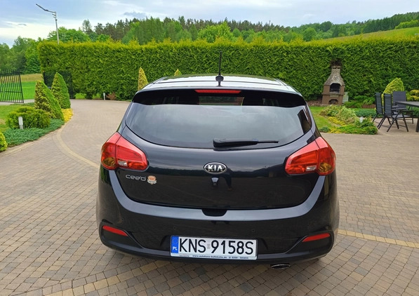 Kia Ceed cena 33500 przebieg: 174850, rok produkcji 2014 z Krynica-Zdrój małe 781